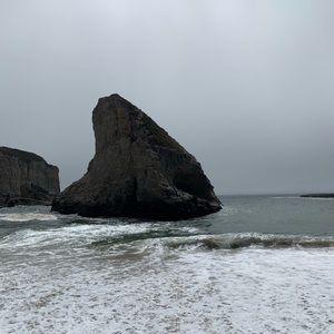 Meet your Posher, Kylie